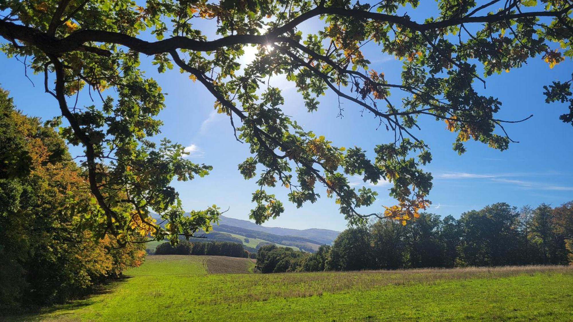 Im Alten Rathaus Bad Liebenstein Luaran gambar